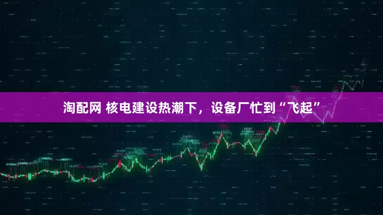 淘配网 核电建设热潮下，设备厂忙到“飞起”