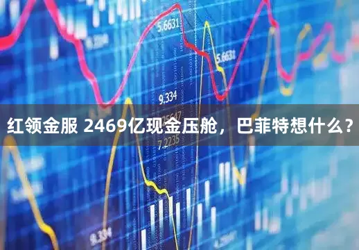 红领金服 2469亿现金压舱，巴菲特想什么？